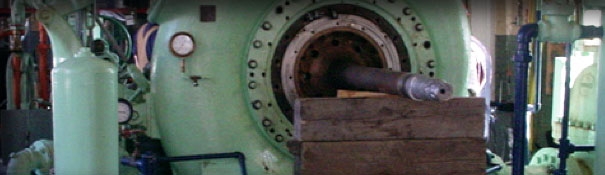 On_Site_Tri_State_Nucla_Power_Plant